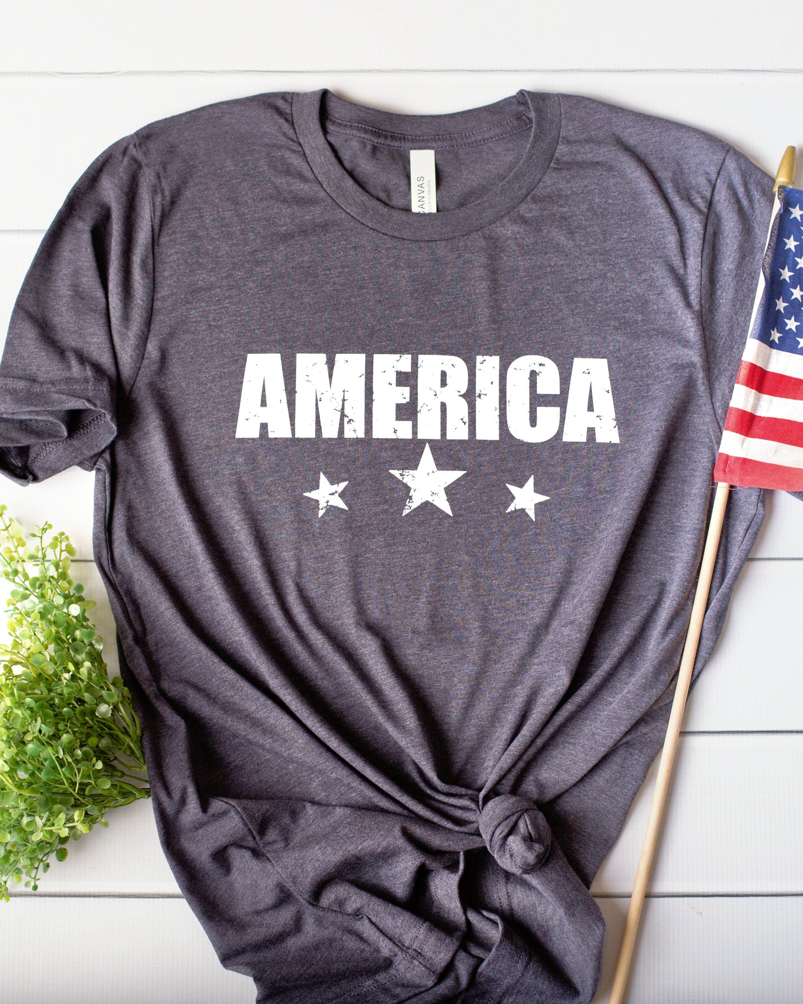 America Graphic Tee